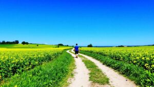 One long walk beats several short ones for heart health, UK Biobank study finds